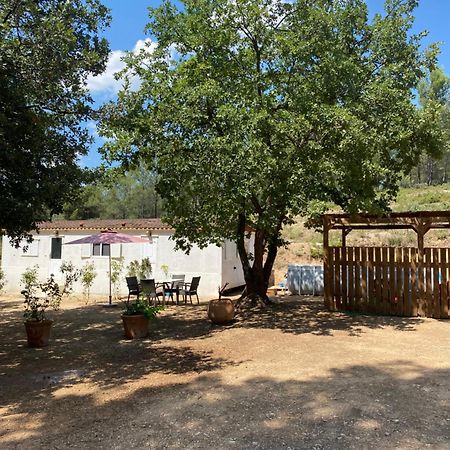 Bungalow Avec Piscine Privative Proche Aix En Provence La Barben エクステリア 写真